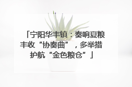 宁阳华丰镇：奏响夏粮丰收“协奏曲”，多举措护航“金色粮仓”