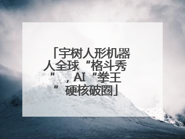 宇树人形机器人全球“格斗秀”，AI“拳王”硬核破圈