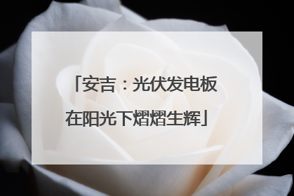 安吉：光伏发电板在阳光下熠熠生辉