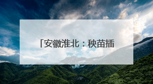 安徽淮北：秧苗插满田 静待稻花香