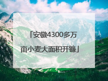 安徽4300多万亩小麦大面积开镰