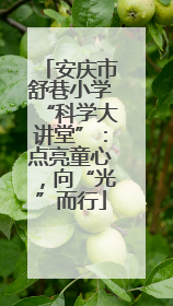 安庆市舒巷小学“科学大讲堂”：点亮童心，向“光”而行