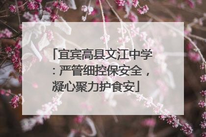 宜宾高县文江中学：严管细控保安全，凝心聚力护食安