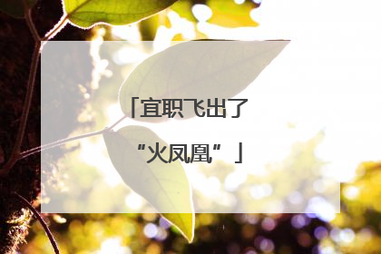 宜职飞出了“火凤凰”