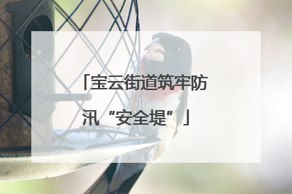 宝云街道筑牢防汛“安全堤”