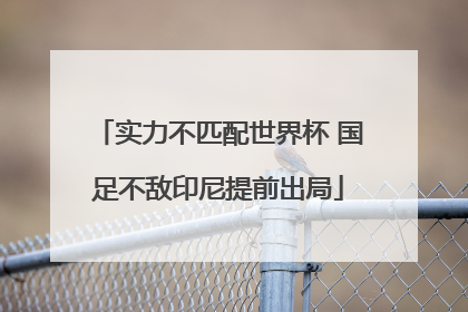 实力不匹配世界杯 国足不敌印尼提前出局