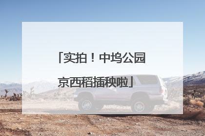 实拍！中坞公园京西稻插秧啦
