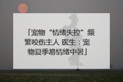宠物“情绪失控”频繁咬伤主人 医生：宠物夏季易情绪中暑