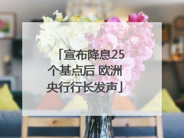 宣布降息25个基点后 欧洲央行行长发声