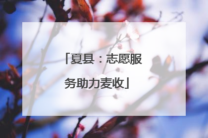 夏县：志愿服务助力麦收