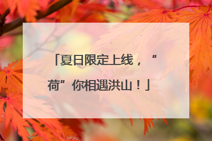 夏日限定上线，“荷”你相遇洪山！