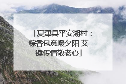 夏津县平安湖村：粽香包意暖夕阳 艾锤传情敬老心