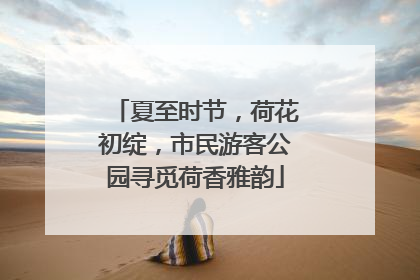 夏至时节，荷花初绽，市民游客公园寻觅荷香雅韵