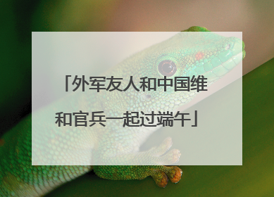 外军友人和中国维和官兵一起过端午