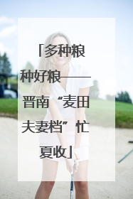 多种粮 种好粮——晋南“麦田夫妻档”忙夏收