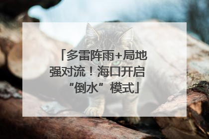 多雷阵雨+局地强对流！海口开启“倒水”模式