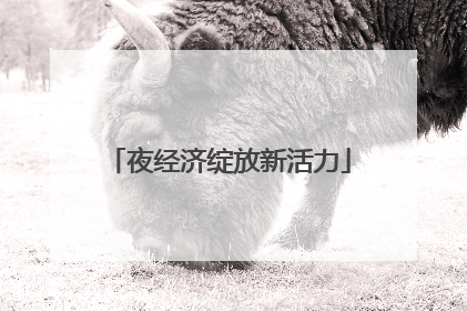 夜经济绽放新活力