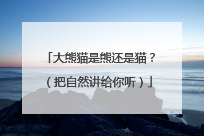 大熊猫是熊还是猫？（把自然讲给你听）