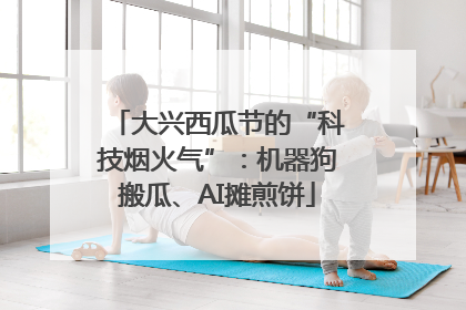 大兴西瓜节的“科技烟火气”：机器狗搬瓜、AI摊煎饼