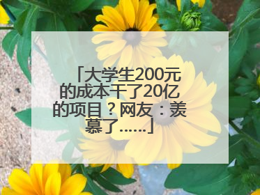 大学生200元的成本干了20亿的项目？网友：羡慕了……