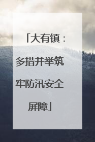 大有镇：多措并举筑牢防汛安全屏障