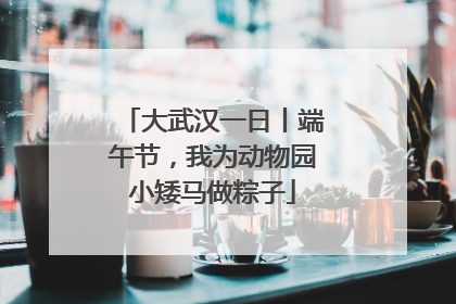 大武汉一日丨端午节，我为动物园小矮马做粽子