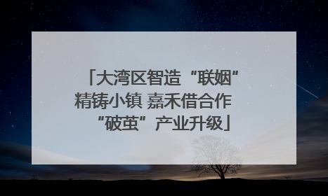大湾区智造“联姻”精铸小镇 嘉禾借合作“破茧”产业升级