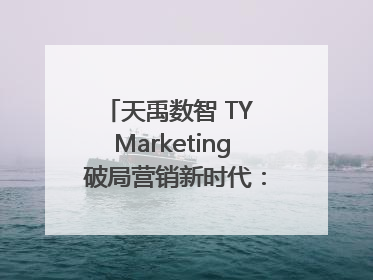 天禹数智 TY Marketing 破局营销新时代：智能体赋能与人才培育双轮驱动