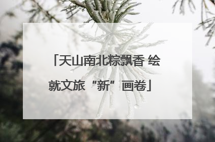 天山南北粽飘香 绘就文旅“新”画卷