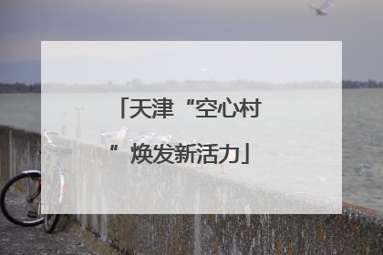 天津“空心村”焕发新活力