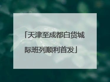 天津至成都白货城际班列顺利首发