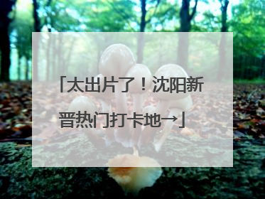 太出片了！沈阳新晋热门打卡地→