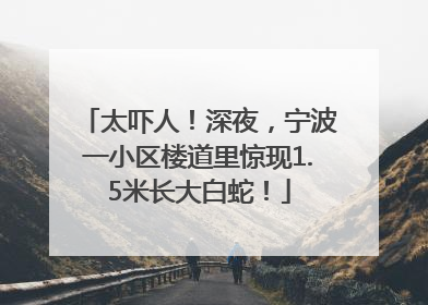 太吓人！深夜，宁波一小区楼道里惊现1.5米长大白蛇！
