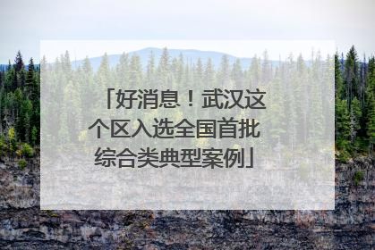 好消息！武汉这个区入选全国首批综合类典型案例