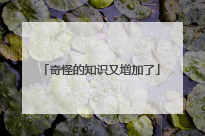 奇怪的知识又增加了