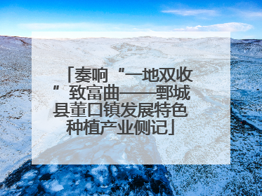 奏响“一地双收”致富曲——鄄城县董口镇发展特色种植产业侧记