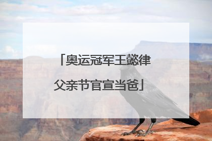 奥运冠军王懿律父亲节官宣当爸