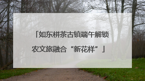 如东栟茶古镇端午解锁农文旅融合“新花样”