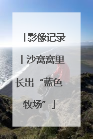 影像记录丨沙窝窝里长出“蓝色牧场”