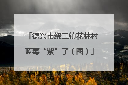 德兴市绕二镇花林村蓝莓“紫”了（图）