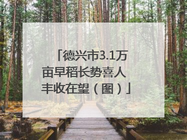 德兴市3.1万亩早稻长势喜人 丰收在望（图）