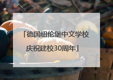 德国纽伦堡中文学校庆祝建校30周年