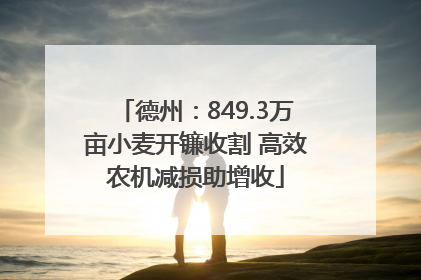 德州：849.3万亩小麦开镰收割 高效农机减损助增收