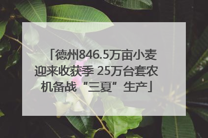 德州846.5万亩小麦迎来收获季 25万台套农机备战“三夏”生产