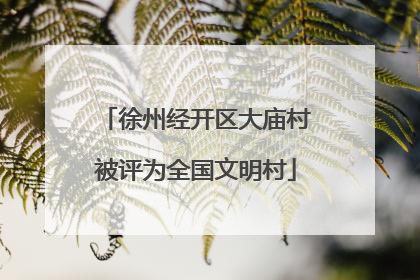 徐州经开区大庙村被评为全国文明村