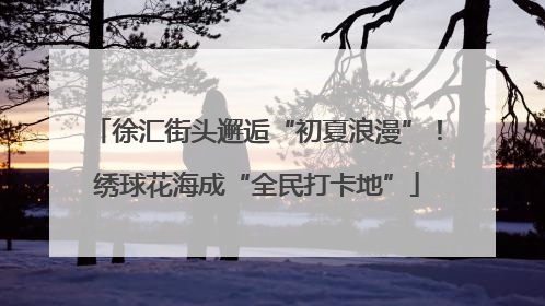 徐汇街头邂逅“初夏浪漫”！绣球花海成“全民打卡地”