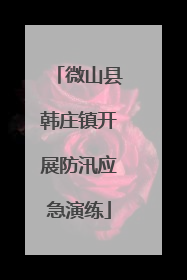 微山县韩庄镇开展防汛应急演练