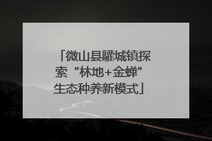 微山县驩城镇探索“林地+金蝉”生态种养新模式