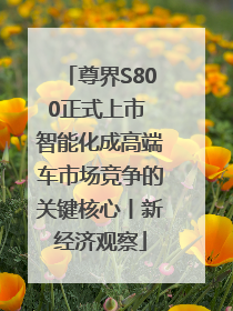 尊界S800正式上市 智能化成高端车市场竞争的关键核心丨新经济观察