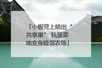 小板凳上结出“共享果” 私垦菜地变身睦邻农场